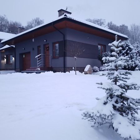 Domek Nad Zalewem Janów Podlaski Buitenkant foto