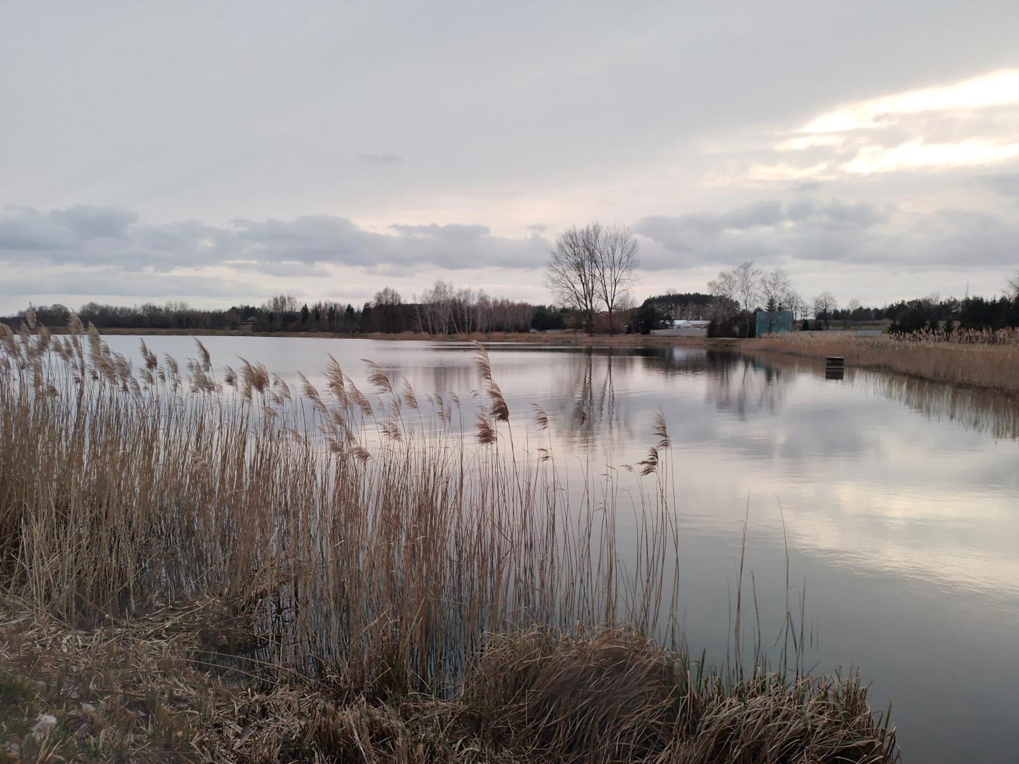 Domek Nad Zalewem Janów Podlaski Buitenkant foto